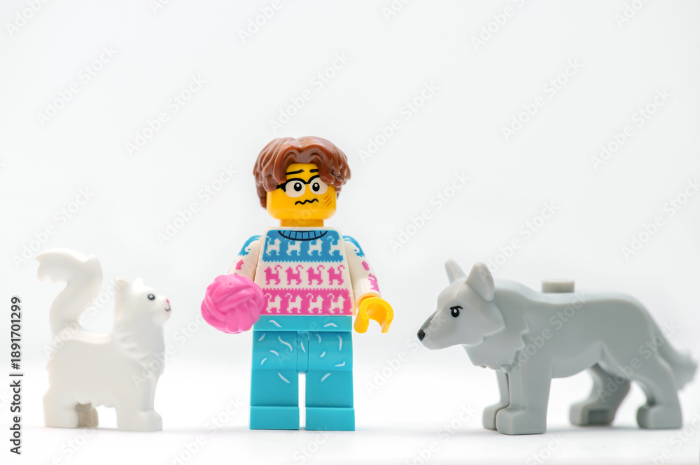 Obraz premium LEGO minifigure: Cat Lover Man standing between a cat and a wolf on a white background