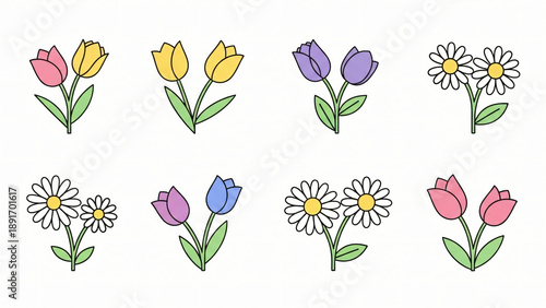 Colorful illustration of various tulip and daisy flowers in different hues and combinations transparent background