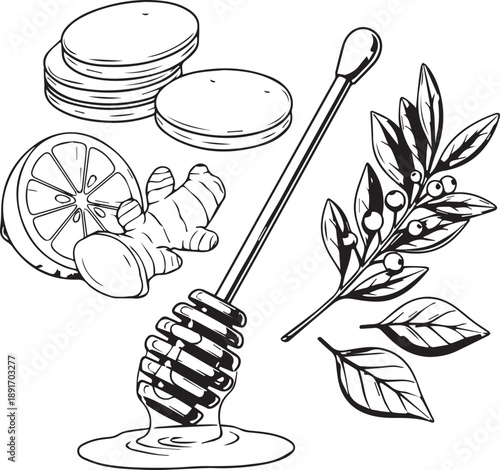 Honey dipper pouring honey with lemon, ginger, and herbs illustration eps file style