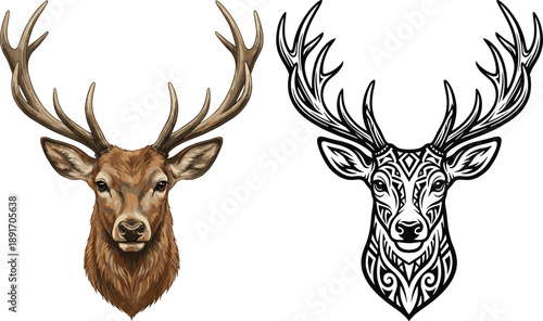 Realistic deer head portrait and tribal tattoo style deer head stag