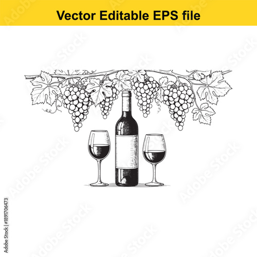  vector illustration of wine bottle and glasses under grapevine