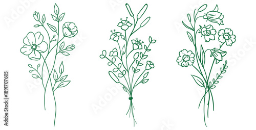 Collection of three beautiful minimalist botanical line art drawings featuring delicate green wildflowers and assorted leafy stems perfect for elegant design projects