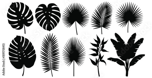 Collection of black silhouette tropical plant leaves including monstera palm fan and banana plant elements perfect for exotic summer design