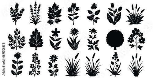 Collection of diverse black silhouette vector icons representing various wild flora including detailed leaves flowering plants grasses and a single solitary tree shape