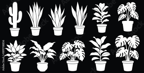 Collection of ten distinct white silhouette potted house plants including cactus snake plant monstera and rubber tree graphics against a solid black background