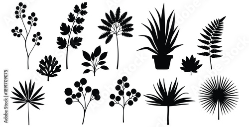 Collection of diverse botanical silhouettes featuring various leaf shapes including ferns berries and potted houseplants ideal for nature inspired graphic design projects
