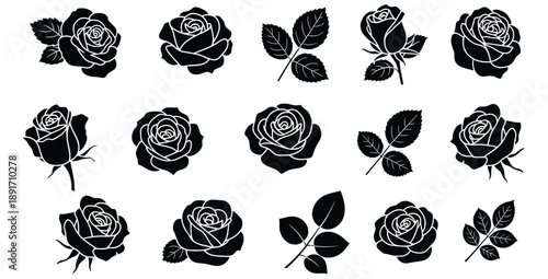 Collection of beautifully illustrated black and white rose head silhouettes and detailed rose leaf sprigs perfect for graphic design projects