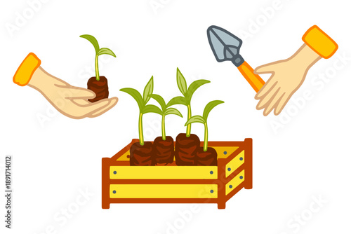 Vector illustration of a hand holding a garden hoe and greenery seedlings in a wooden box Основные RGB