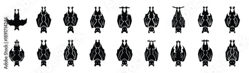 bat hanging upside down silhouette illustration collection. Animals drawing illustration isolated on white background.