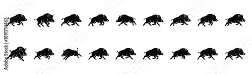 boar running pose silhouette illustration collection. Animals drawing illustration isolated on white background.