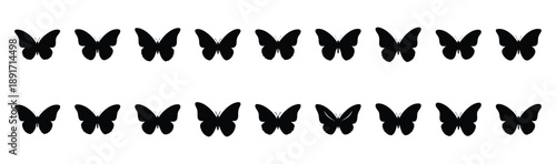 butterfly wings open pose silhouette illustration collection. Animals drawing illustration isolated on white background.