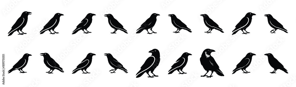 Fototapeta premium crow standing pose silhouette illustration collection. Animals drawing illustration isolated on white background.