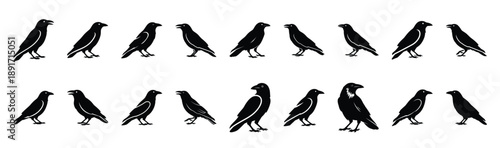 crow standing pose silhouette illustration collection. Animals drawing illustration isolated on white background.