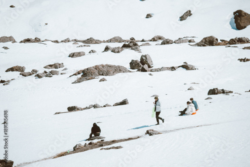 Принти на полотні Group of people enjoying winter activities on a snowy mountain slope at a ski resort in Chile, surrounded by rocks and pristine snow fields