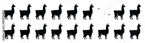 llama standing pose silhouette illustration collection. Animals drawing illustration isolated on white background.