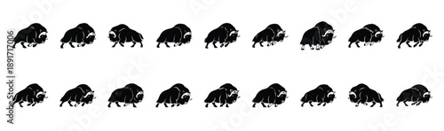 musk ox charging pose silhouette illustration collection. Animals drawing illustration isolated on white background.