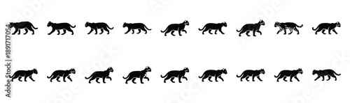 ocelot walking pose silhouette illustration collection. Animals drawing illustration isolated on white background.