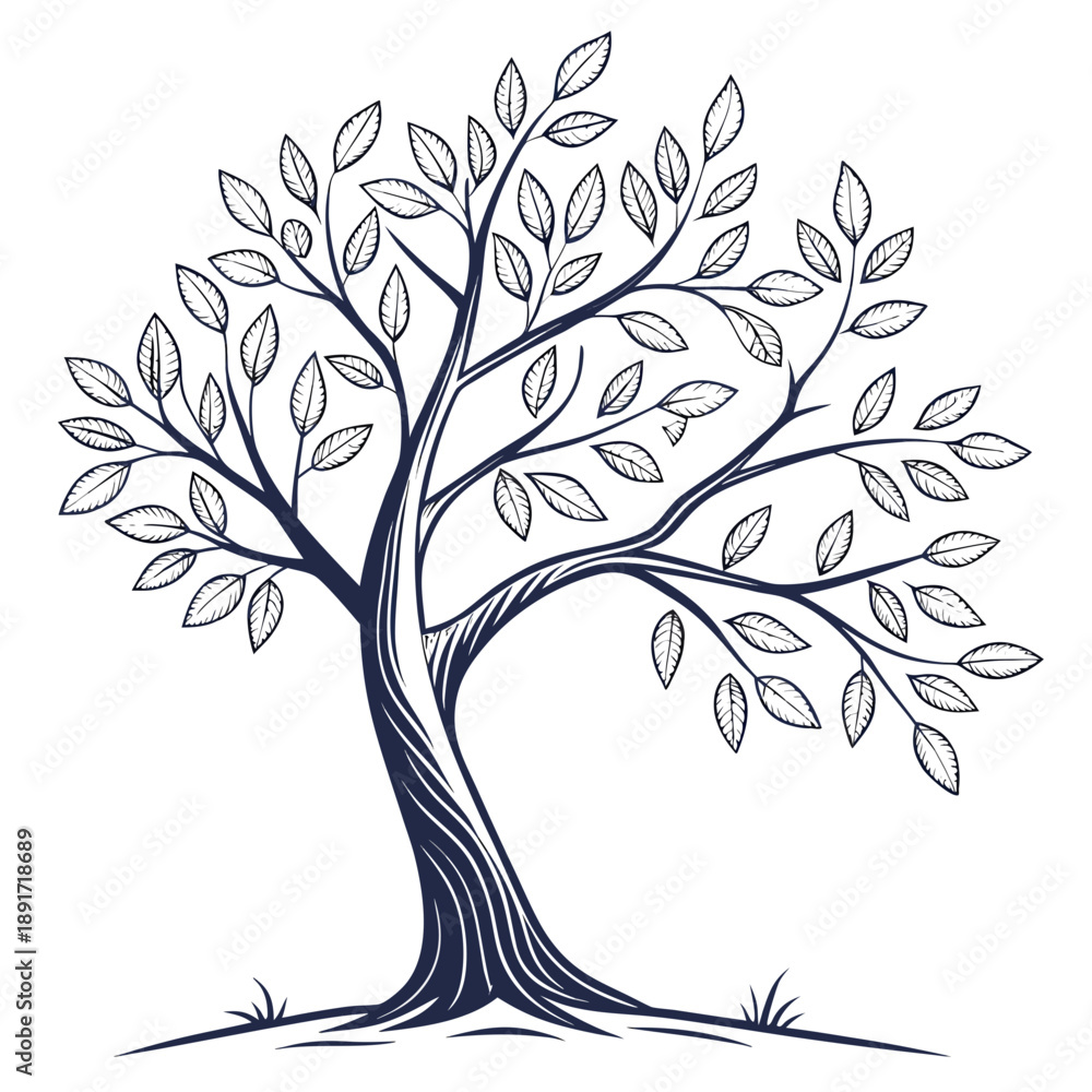 Obraz premium Elegant tree with curving branches