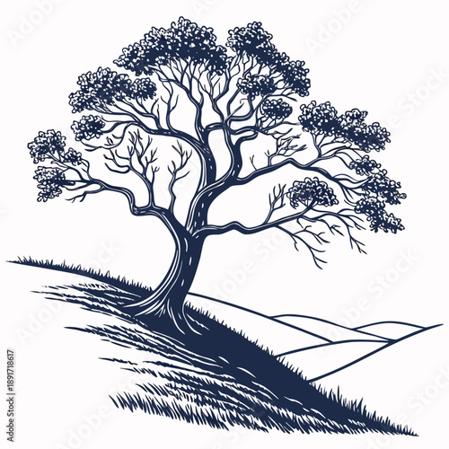 Solitary tree on hillside
