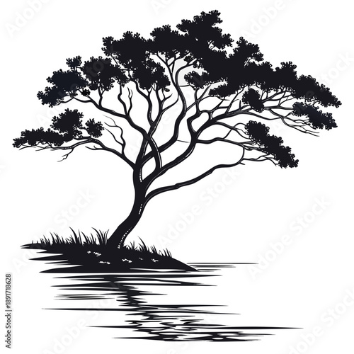 Solitary tree by water