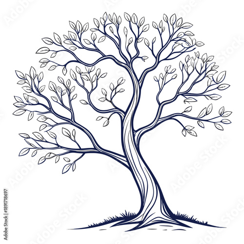 Elegant tree sketch