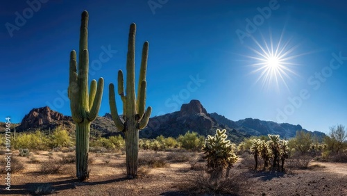 Desert landscape with tall saguaro cacti, scrubby shrubs, and rugged mountains under a bright sun in a clear blue sky. Concept Desert Landscape, Saguaro Cacti, Rugged Mountains, Bright Sun