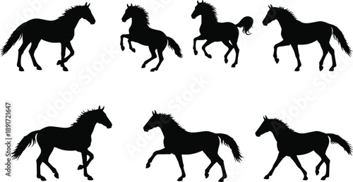Silhouette of running horses, wild horse vector, galloping stallion clipart, equine animal icons, black silhouette art, mustang symbol, isolated on white background