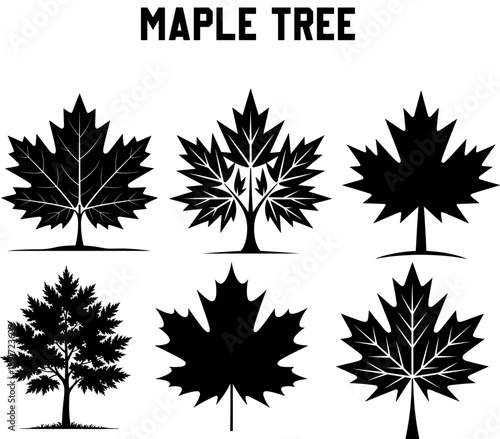 Comprehensive Maple Tree and Leaf Silhouette Vector Set: Six Black and White Nature Illustrations for Logos, Icons, Canadian Design, Ecology, and Autumn Season Graphics