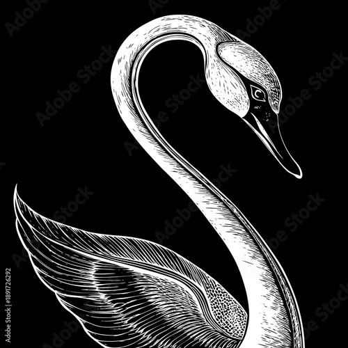 Swan Neck Rapier Sword Graceful Silhouettes Vector