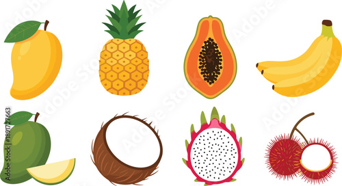 Colorful Tropical Fruit Illustration Set, Exotic Mango Pineapple Papaya Banana Coconut Dragonfruit Rambutan Icons, Healthy Organic Food Nutrition Vector Graphics Pack