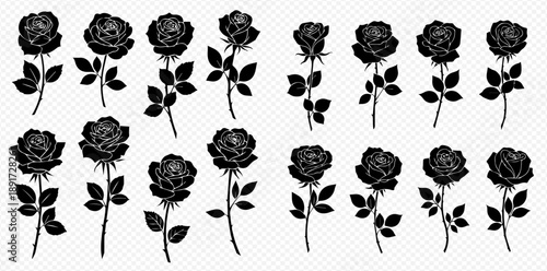Set of black rose silhouettes, various blooming flowers and buds with stems and leaves, elegant botanical elements for design.