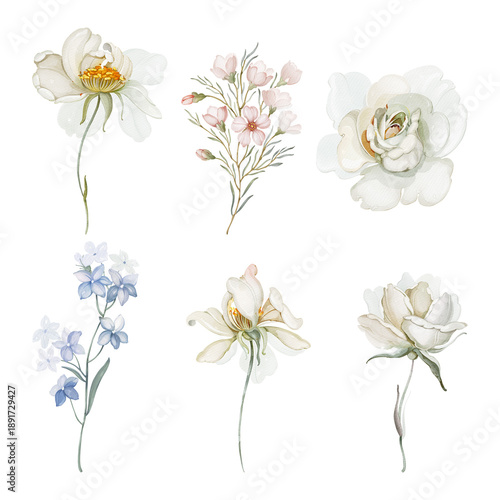 Soft Floral Illustration Set in Watercolor Style