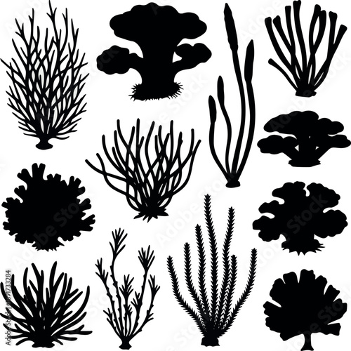 create on algae set silhouette, on white background, isolated, vector art..