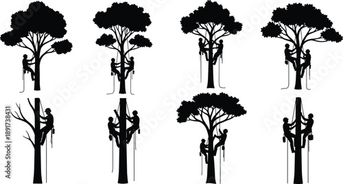 Collection of Professional Arborist Silhouette Vector Illustration Set, Tree Climbers Using Ropes and Harnesses for Forestry Maintenance Lumberjack and Garden Service Design Template