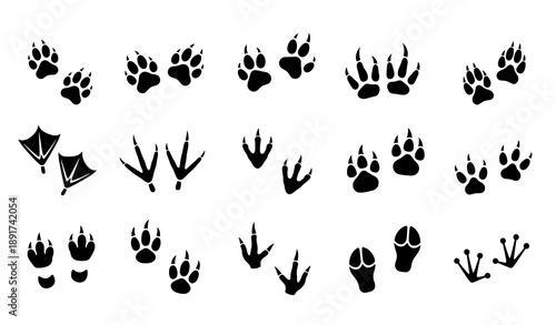 Animal footprint silhouette vector set with wildlife bird pet and hoof tracks