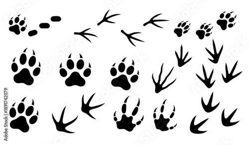 Wildlife and pet animal track vector set with paw hoof and bird footprints