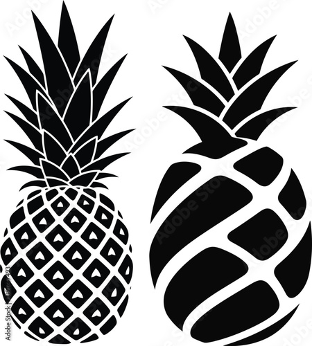Illustration of two pineapples with distinct patterns from a front viewpoint
