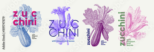 Artistic illustration of zucchini plants, showcasing detailed blossoms and leaves. The design features bold typography and a colorful palette