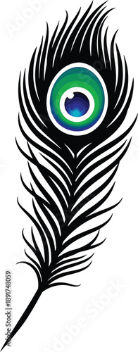 A vibrant peacock feather with iridescent colors and intricate details displayed prominently on a clear background from a direct viewpoint