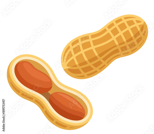 Stylized peanuts whole and split open revealing the kernels inside food snack