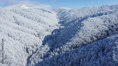 Footage of a flight descending into a valley between mountains with forests covered in snow