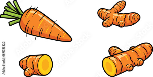Cartoon orange carrot and ginger roots on white background vegetables