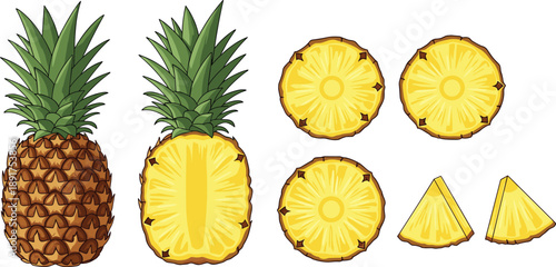 Cartoon pineapple with green leaves and various slices fruit