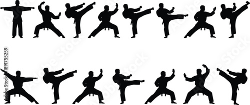 Karate martial artist silhouette set showing various poses, kicks, and stances in traditional uniform for training, sport, or instructional design use.