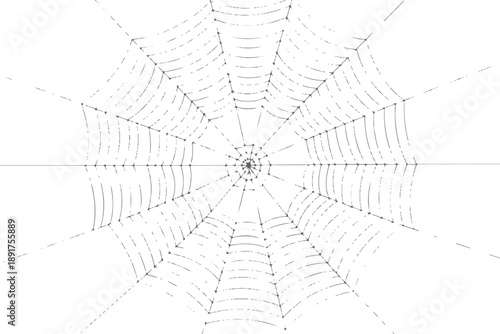 Realistic spider web with dew drops,Detailed black line art of a spider web.