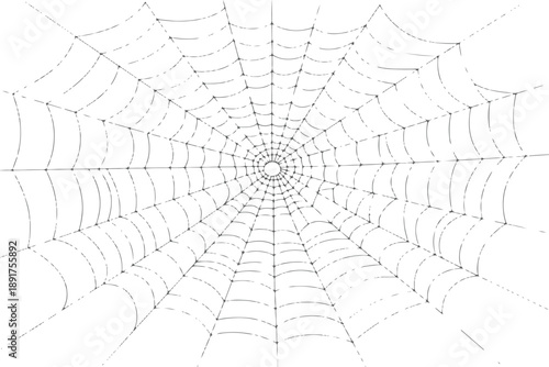 Realistic spider web with dew drops,Detailed black line art of a spider web.