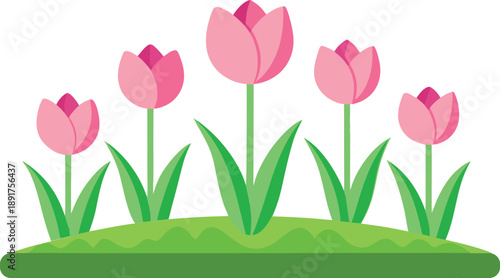 Pink Tulips on Green Grass Isolated on White Background