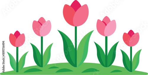 Pink Tulips on Green Grass Isolated on White Background