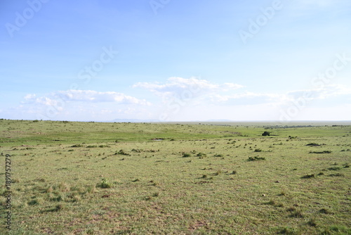 clear sky landscape of Masai mara 