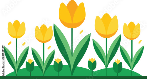 Yellow Tulips on Green Grass Isolated on White Background